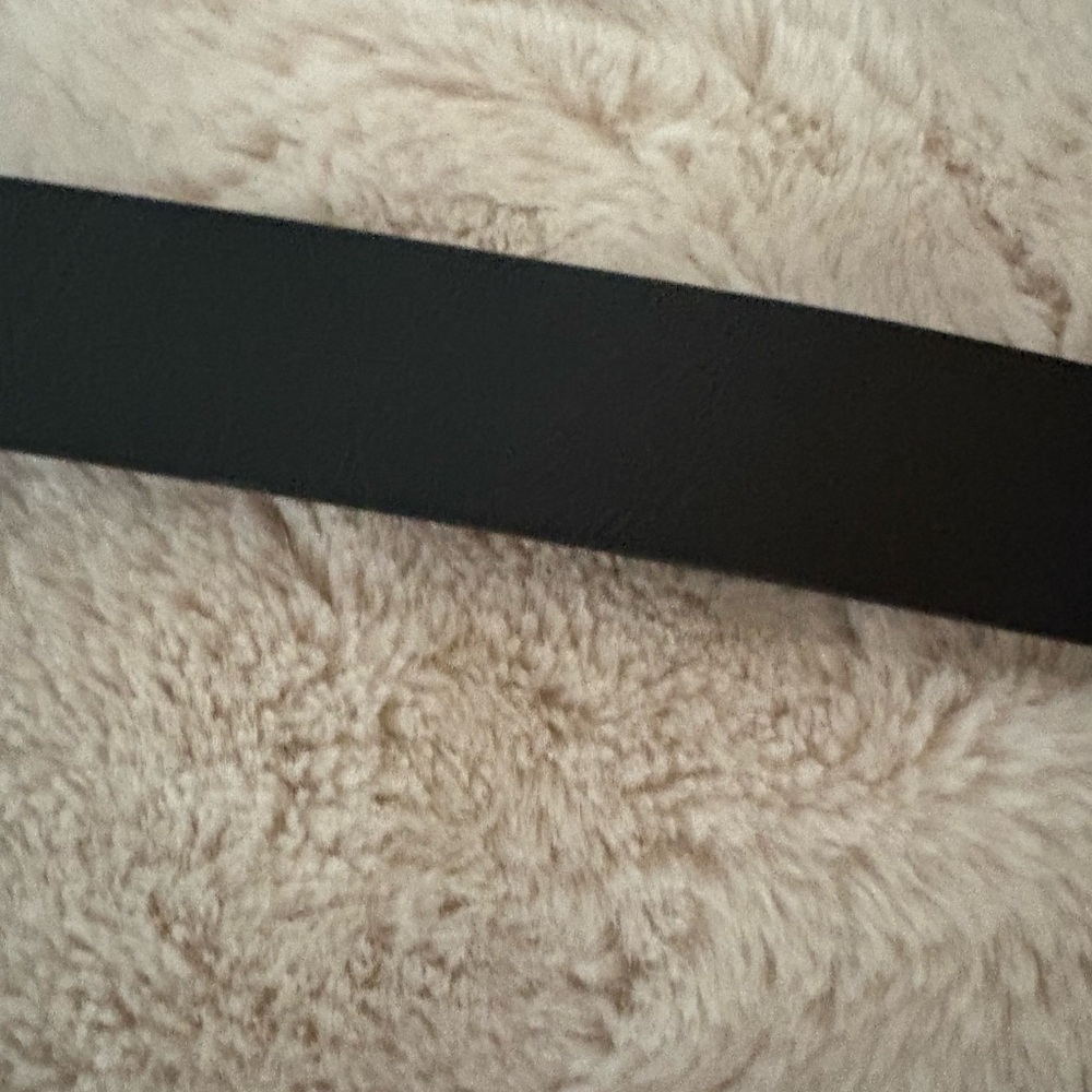 Women’s Torrid Belt 🌵4x - Picture 2 of 7